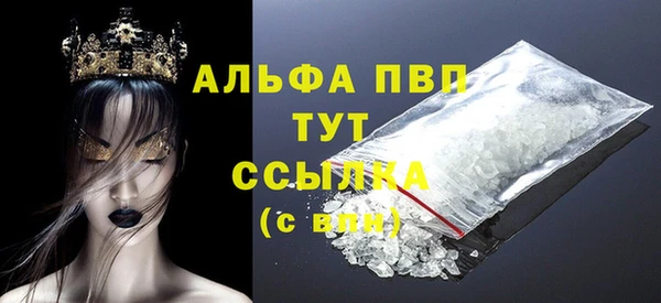 индика Беломорск