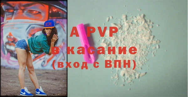 прущие грибы Белокуриха