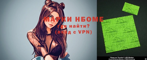 прущие грибы Белокуриха