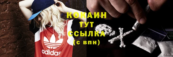 индика Беломорск