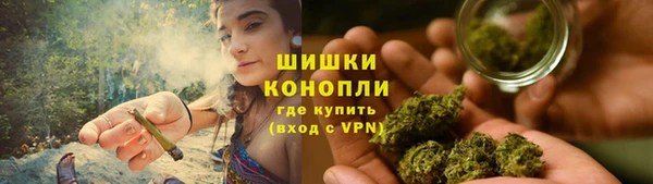 индика Беломорск
