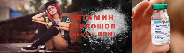 прущие грибы Белокуриха