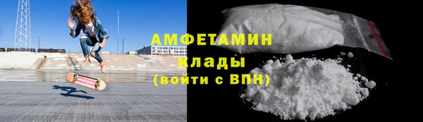 индика Беломорск