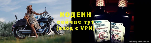 индика Беломорск