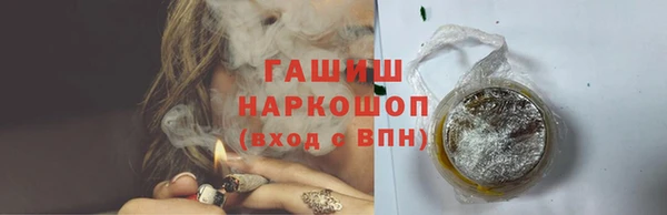 индика Беломорск