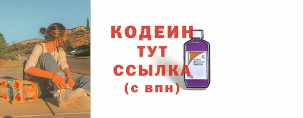 индика Беломорск
