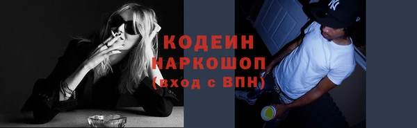 прущие грибы Белокуриха