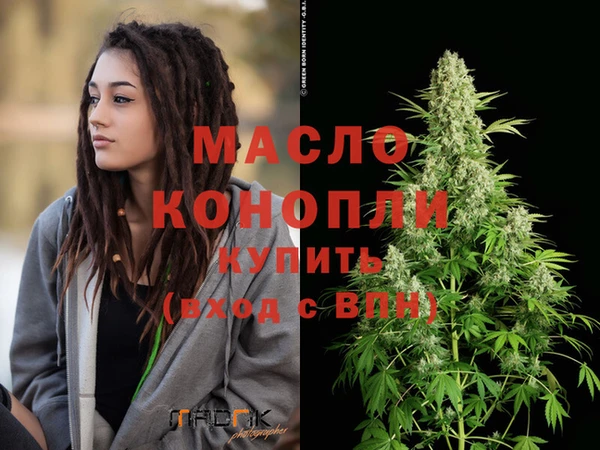 индика Беломорск