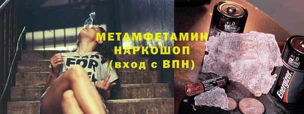 прущие грибы Белокуриха