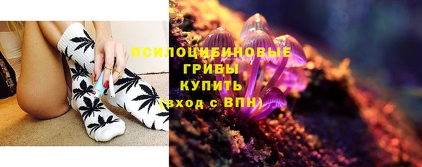 прущие грибы Белокуриха