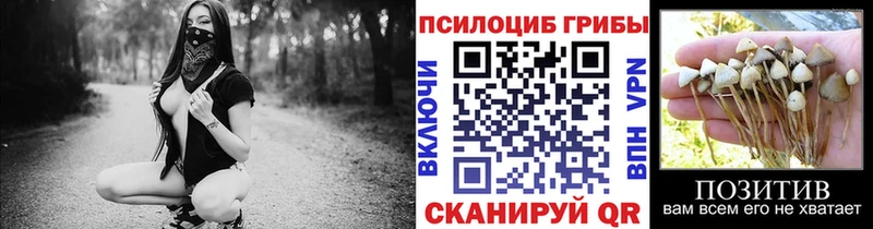 магазин    Кунгур  Псилоцибиновые грибы мицелий 