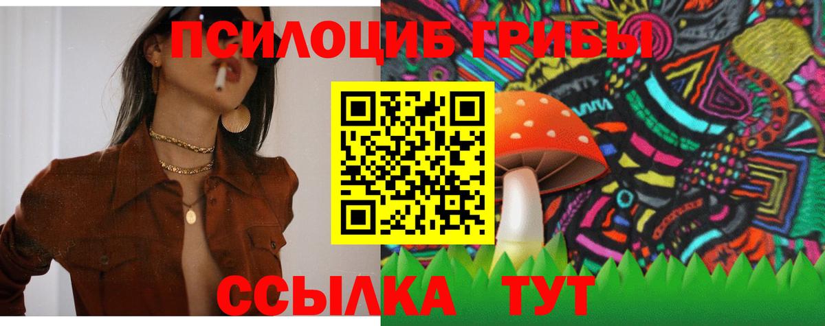 Кунгур  Галлюциногенные грибы GOLDEN TEACHER  Вход с VPN 