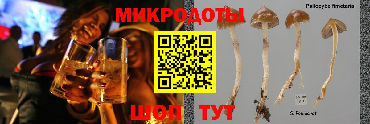 Галлюциногенные грибы мицелий Кунгур