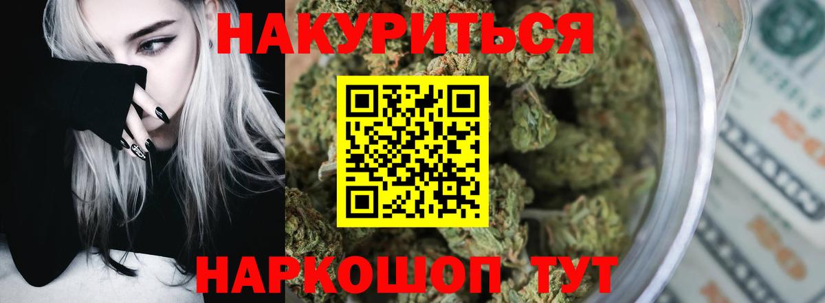 Канабис Amnesia  Кунгур  Каннабис планчик  Каннабис SATIVA & INDICA  МАРИХУАНА марихуана 